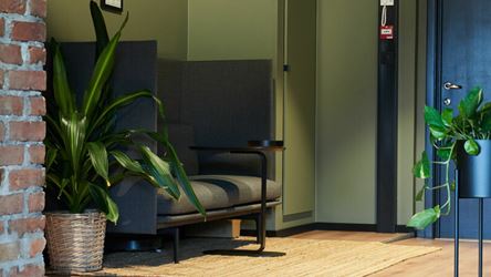 Bildet viser en sosial sone i et kontorlokale. Koselig mørk grønn sofa med grønne planter ved siden av. Grønn vegg i bakgrunnen og murvegg i forkant.